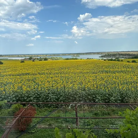 Bed And Birding Guest house Durankulak